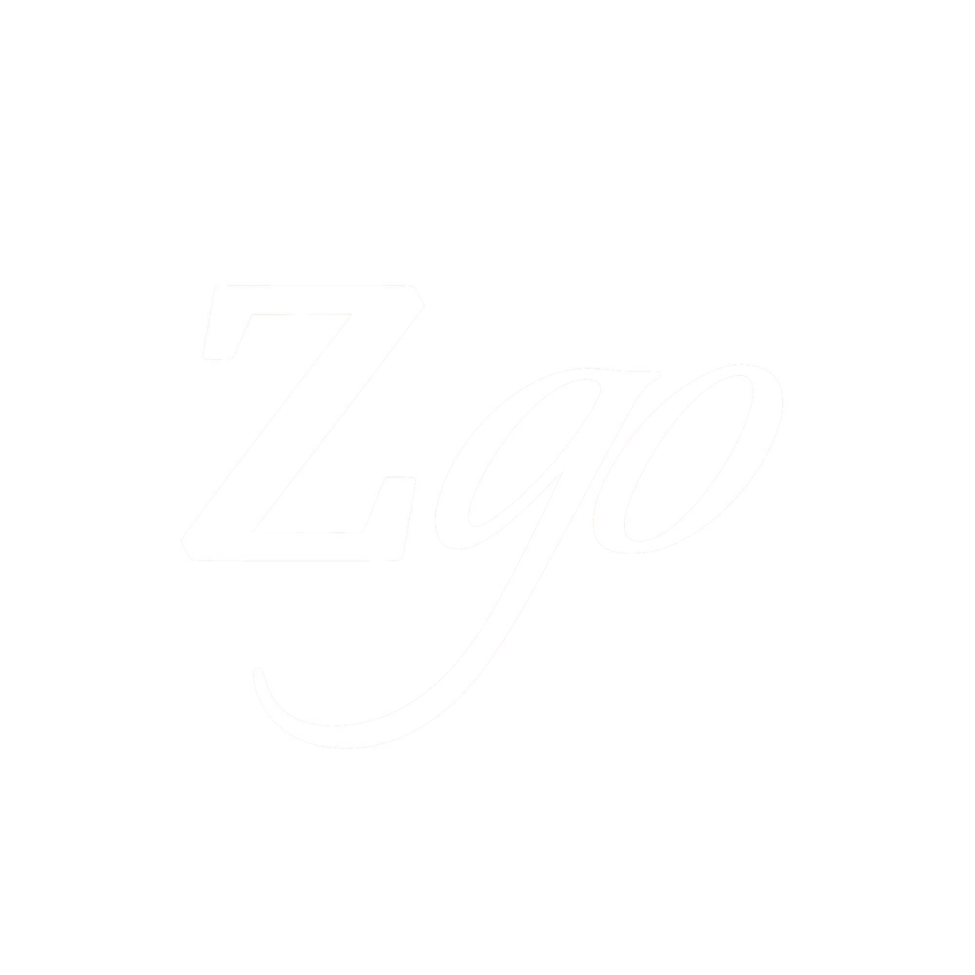 Z-GO